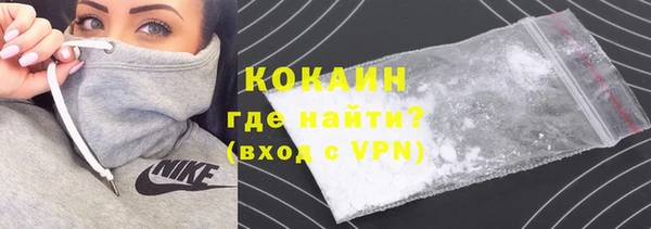 спиды Горняк