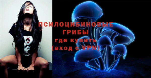 ECSTASY Горнозаводск