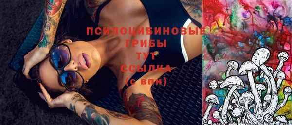 спиды Горняк