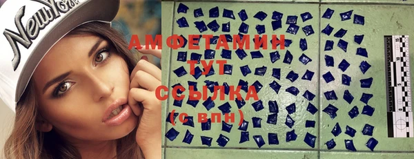 спиды Горняк