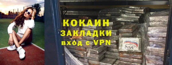 мяу мяу мука Дмитриев