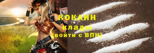 шишки Дмитровск