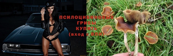 спиды Горняк