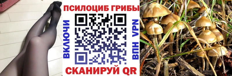 Псилоцибиновые грибы Cubensis  hydra маркетплейс  Олёкминск 